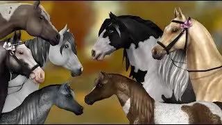 New horse breeds ANIMATED into SSO😍