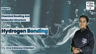 Class 11 Chemistry Chapter 4 &ndash; Chemical Bonding and Molecular Structure | Hydrogen Bonds | Malayalam