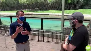 The Marine World Experience