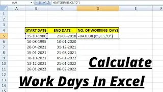 How to calculate  Works Day / Working Days in Excel || Workday Formula in Excel 📚✍🏻