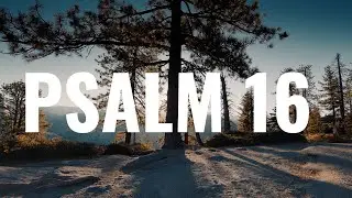 Devotional: Psalm 16 with Pastor Matt Maw