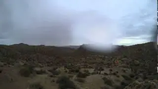 JTNP