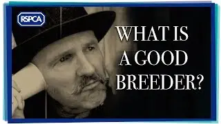 What Is A Good Breeder?