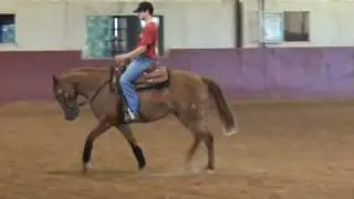 Dunits Dually - 2 year old reining prospect