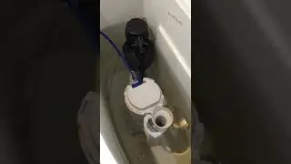How to identify common faults with a toilet