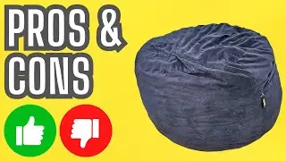 Review: Amazon Basics Memory Foam Filled Bean Bag Chair with Microfiber Cover