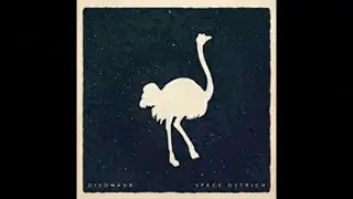 Disonaur - Space Ostrich (Lead guitar)