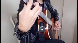 Buckethead - Big Sur Moon (acoustic guitar cover)