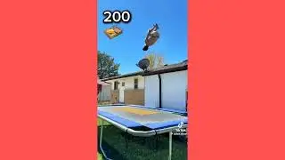 Men Jump Mousetrap in Trampoline 