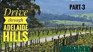 Drive Through Adelaide Hills🚘🌴🌳and Country Areas |4K| PART 3 #tour #beautifulcity #around adelaid