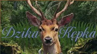 🟣 Dzika Kępka Marklowice Górne po Kuchennych Rewolucjach. Sprawdziliśmy! 