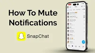 How To Mute Notifications On Snapchat?