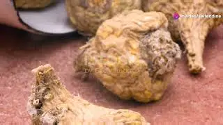 Nature's Love Potions  Exploring Aphrodisiac
