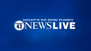 W.S.D.F  news with Dick #comedy #funny #news #pimpeet
