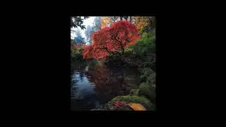 [FREE] METRO BOOMIN X DIMENSION X WILKINSON TYPE BEAT 