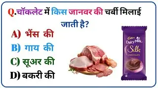 GK Question || GK Question and Answer || GK Quiz || BRAIN BOOSTER || GK In Hindi || UP GK STUDY 