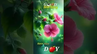 Best flower 🥀 #Photography#beautiful #nature #flowers #flying #trending #viral #status#youtubeshorts