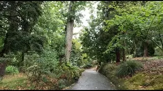 Trelissick Gardens   September 2025