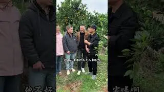 地球村兄弟姐妹们来助力小何了，助力我家乡的赣南脐橙，曾经我们几个一起奋斗过来的#海哥量地球 #赣南脐橙