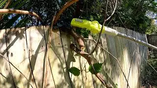 Ryobi 18v tree lopper ( telescopic 2.7m )