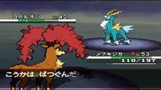 Pok&eacute;mon White - Catching Cobalon