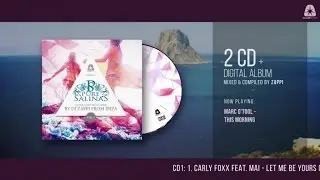 Pure Salinas Vol. 7 - compiled & mixed by DJ Zappi (Official Teaser) HD