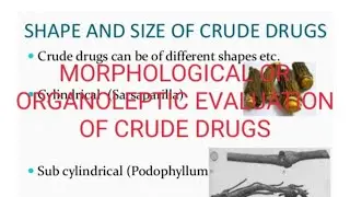 Quality control of drugs of natural origin -DRUG EVALUATION