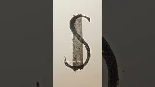 Why the $ Looks Like an S &mdash; The Real Origin 💲 | One-Minute Origins