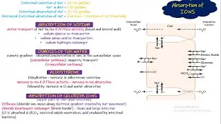 Absorption of IONS. Chapter 66 (part 5). Guyton and Hall Physiology.