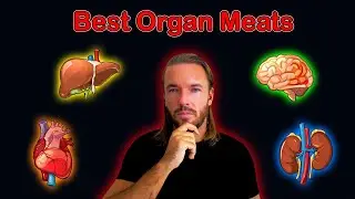 Which Organ Meats Are the Healthiest & Most Nutritious? @Talon_Fitness