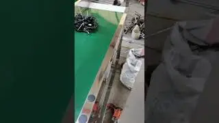 Orange  washing  drying waxing grading production line ready to ship 2