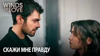 Я сделаю все, что в моих силах, чтобы ты выбрался из этой ситуации | Ветреный холм 97. раздел