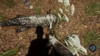 Forest (S3 E05) Zu dumm um zu Trinken