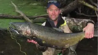18 Mile Creek NY, Salmon Fishing with Holsingers Fly Shop