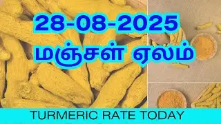 வேளாண் மண்டியில் தினசரி மஞ்சள் வாங்கப்படும் விலை | 28-08-2025 Turmeric Rate At Perundurai Mandi