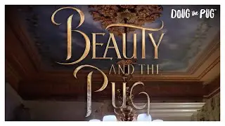 Beauty and the Pug - Doug The Pug