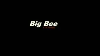 Big Bee - 5 da manha
