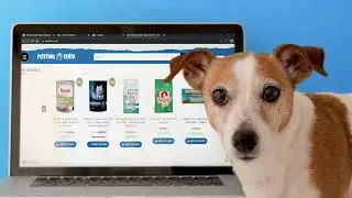Buy everything for your pet online @Petstore Kenya
