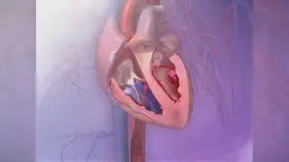 Study shows financial stress may pose cardiovascular risk