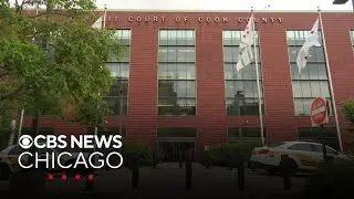 ICE agents arrest woman at Domestic Violence Courthouse before she could attend her hearing