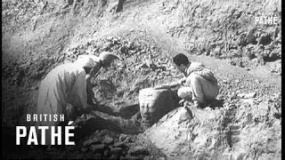Les pharaons ont utilis&eacute; cette avenue (1964)