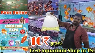 FIRST Time in Chennai / Colourful Fish Aquarium \ Best shop in Chennai / Free Entry...