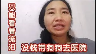 2026-1-29 Aunt He from Tianjin and her stray dog 狗狗生病没钱去医院治疗，阿姨只能坐在车上哭泣。