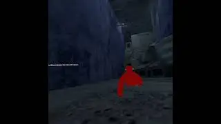 Top 5 Shiny taggers tag freeze run