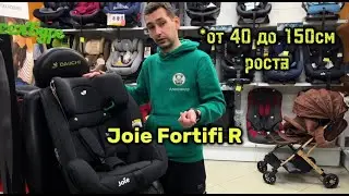 Обзор и установка детского автокресла Joie Fortifi R