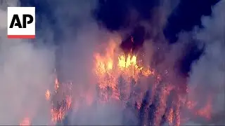 Wildfire burns in San Jacinto County in Texas