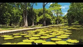 We Got Denied Entry At This Place in Mauritius, Here's Why | Storytime Vlog
