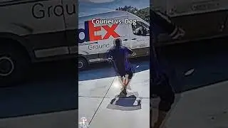 Courier vs.Dog😂🤣🐶 #cute #art #dog #funny #funnyanimal #pets #music #funnydog