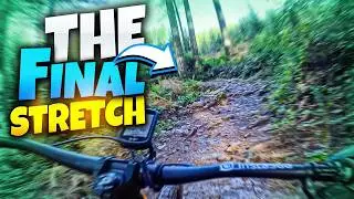 Lower Cold Creek 2026 | Yacolt Burn State Forest