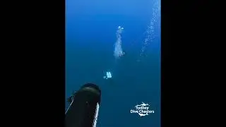 Technical divers descending 35m visibility ship wreck Coolooli best dive site
